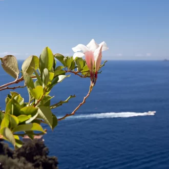 Beach-and-Excursions-11